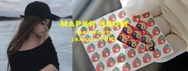 гидра Кинешма
