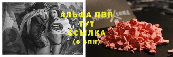 гидра Кинешма