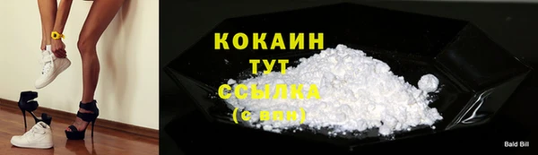гидра Кинешма
