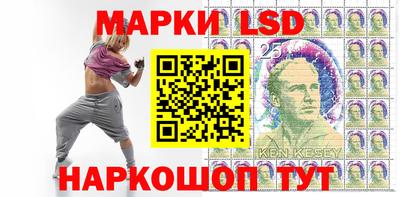 гидропоника Донской