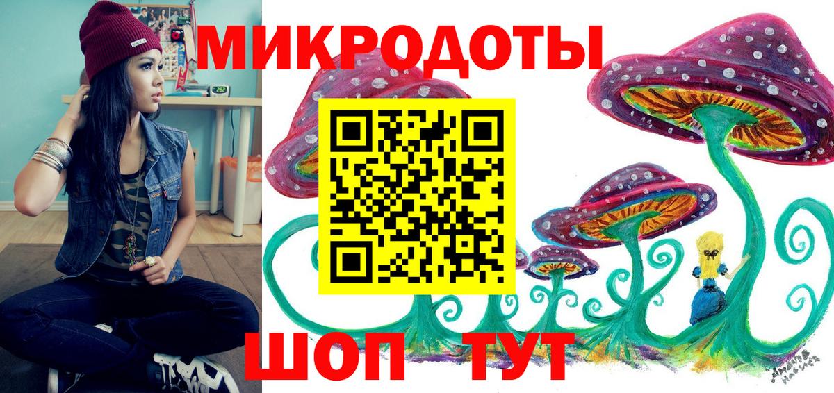 Псилоцибиновые грибы Psilocybine cubensis Великие Луки