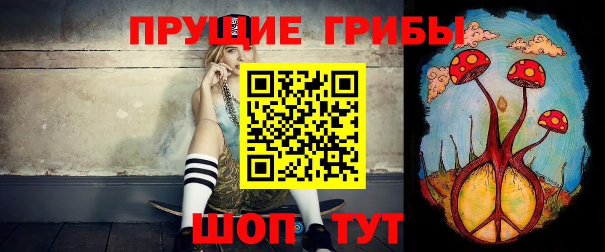 Великие Луки  Псилоцибиновые грибы Psilocybine cubensis  Галлюциногенные грибы Psilocybe  Вход с VPN 
